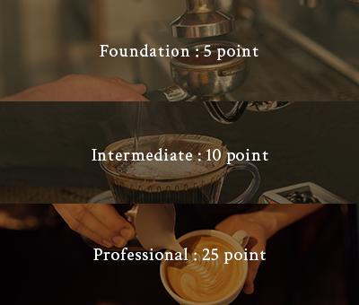 SCA Certification Level